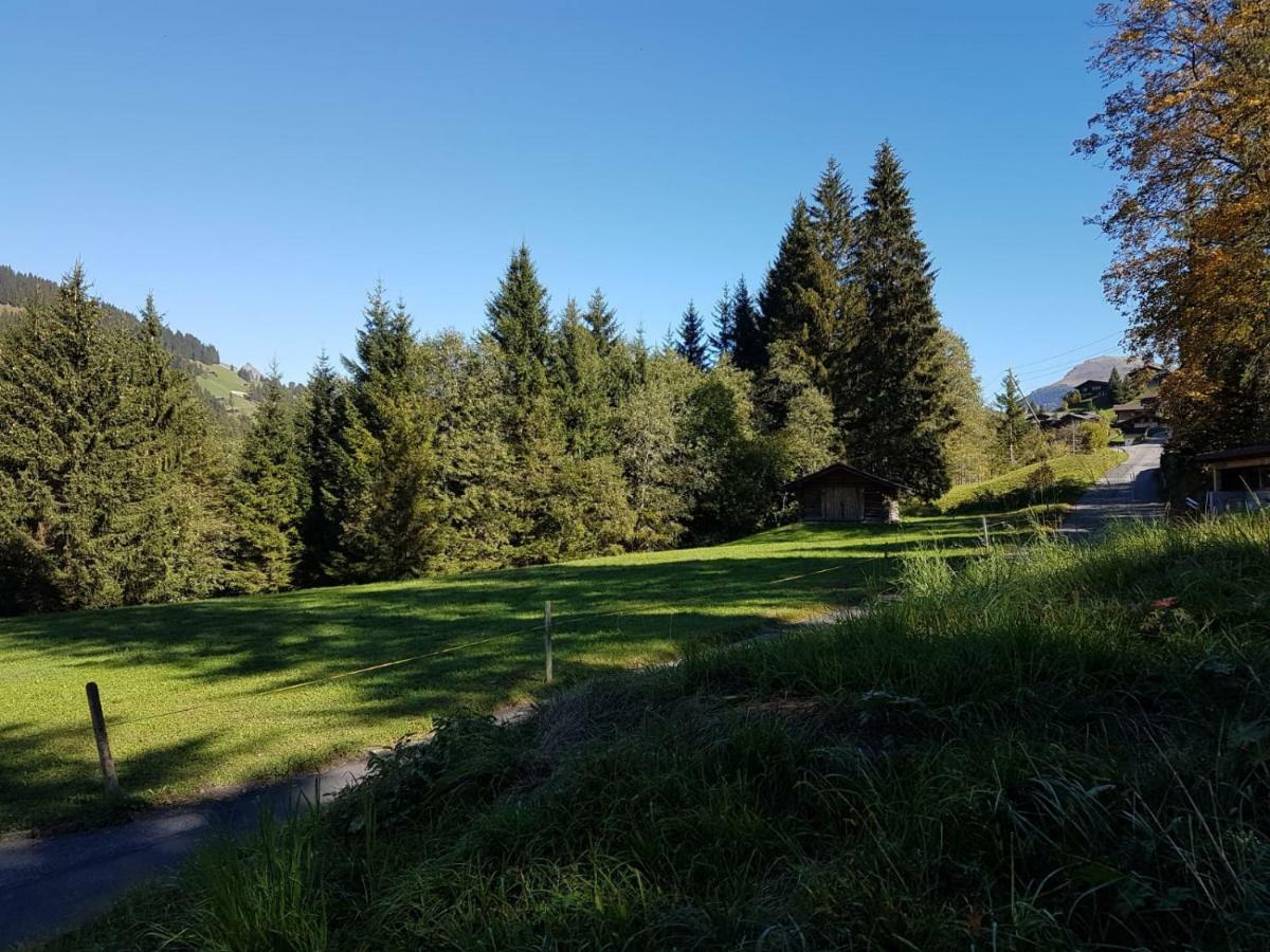 Chalet Grueneggli Adelboden Exterior foto